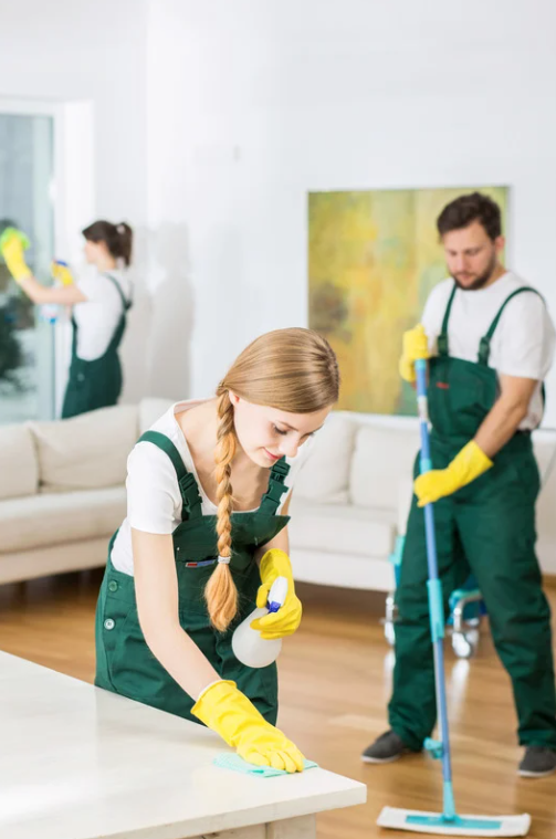 Professional cleaners working in a home.